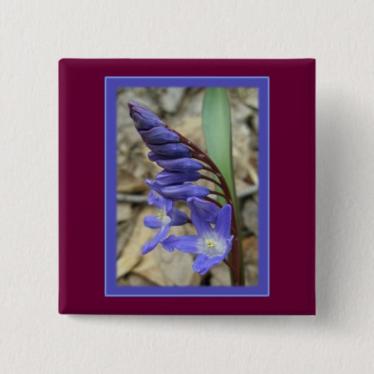 Wild Blue Hyacinth Button (Vorderseite)