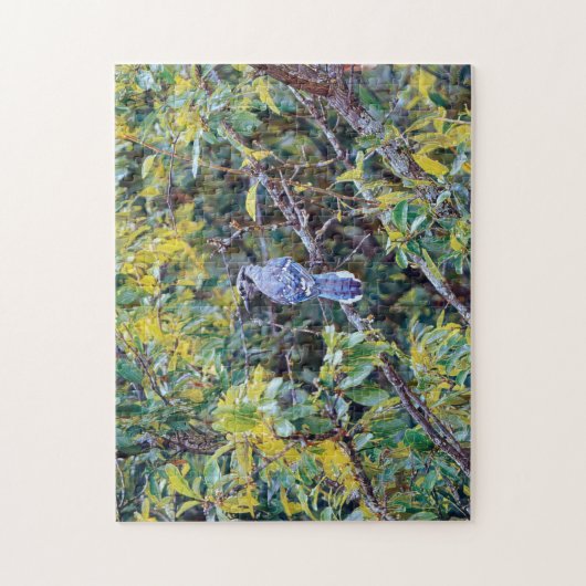Wild Blue Jay Bird Art Puzzle (Vertikal)