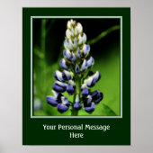 Wild Blue Lupine Blume Personalisiert Poster (Vorne)