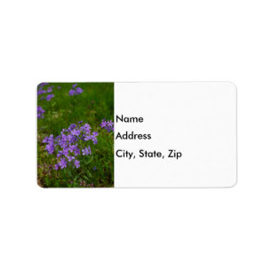 Wild Blue Phlox Adressaufkleber