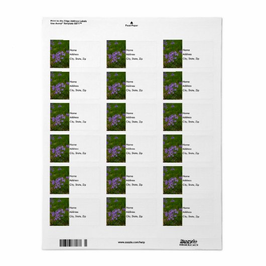 Wild Blue Phlox Adressaufkleber (Vorne)