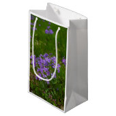 Wild Blue Phlox Kleine Geschenktüte (Vorderseite Schrägansicht)