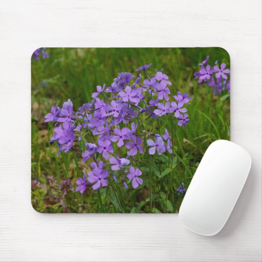 Wild Blue Phlox Mousepad (Mit Mouse)