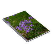 Wild Blue Phlox Notizblock (Rechte Seite)