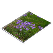 Wild Blue Phlox Notizblock (Linke Seite)