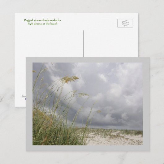 WIld Blue Yonder Postkarte (Vorne/Hinten)