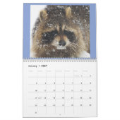 Wild Blue Yonder Raccoons of 2021 Calendar Kalender (Jan 2027)