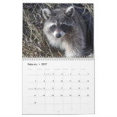 Wild Blue Yonder Raccoons of 2021 Calendar Kalender (Feb 2027)