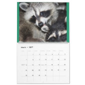 Wild Blue Yonder Raccoons von 2018 Kalender (Mär 2027)