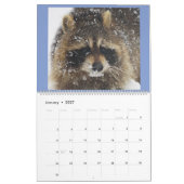 Wild Blue Yonder Raccoons von 2018 Kalender (Jan 2027)