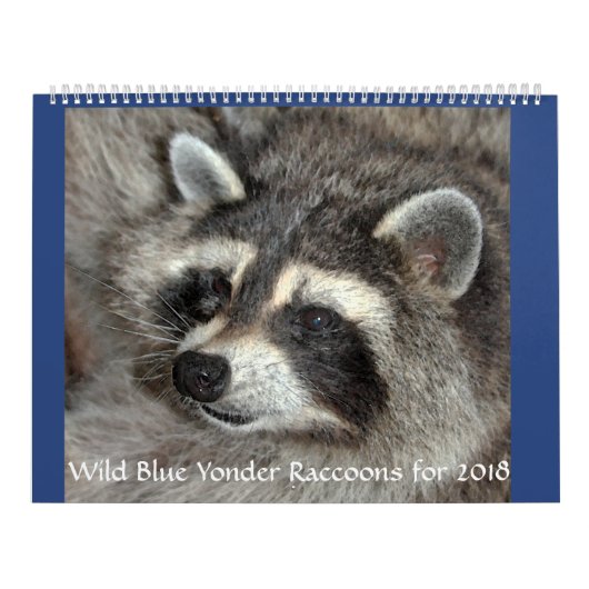 Wild Blue Yonder Raccoons von 2018 Kalender (Titelbild)