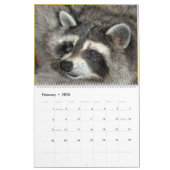 Wild Blue Yonder Raccoons von 2019 Kalender (Feb 2026)