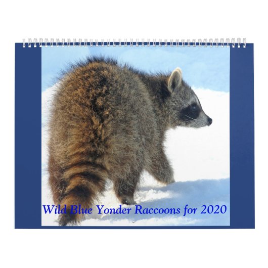 Wild Blue Yonder Raccoons von 2019 Kalender (Titelbild)