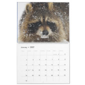 Wild Blue Yonder Raccoons von 2019 Kalender (Jan 2027)