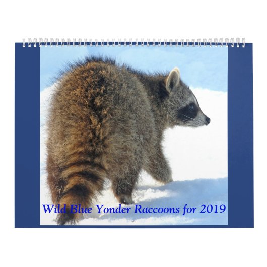 Wild Blue Yonder Raccoons von 2019 Kalender (Titelbild)