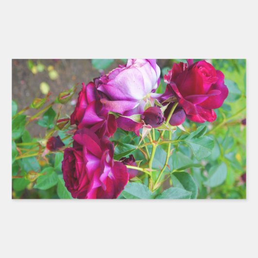 Wild Blue Yonder Rose #1-2 Stickers (Vorderseite)