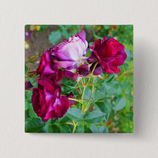 Wild Blue Yonder Rose #1 Button (Vorderseite)