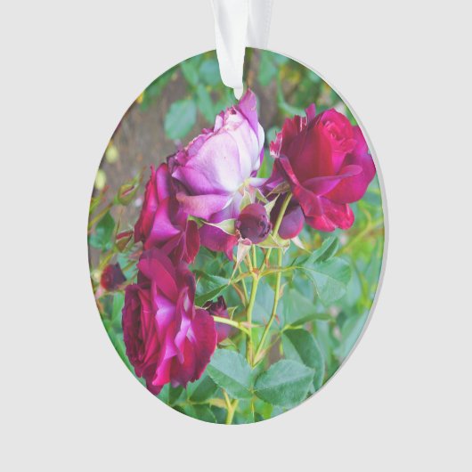 Wild Blue Yonder Rose #1 Ornament (Vorderseite)