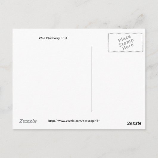 Wild Blueberry Fruit Postkarte (Rückseite)