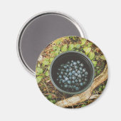Wild Blueberry Picking Magnet (Vorderseite/Rückseite)
