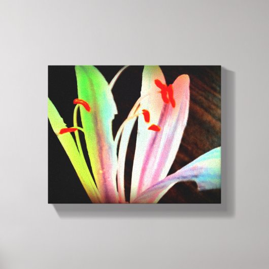 Wild Blume Canvas Print Leinwanddruck (Vorderseite)