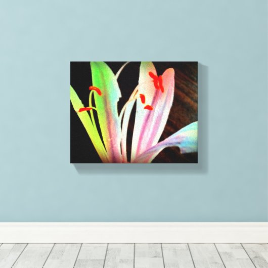 Wild Blume Canvas Print Leinwanddruck (Insitu (Holzboden))