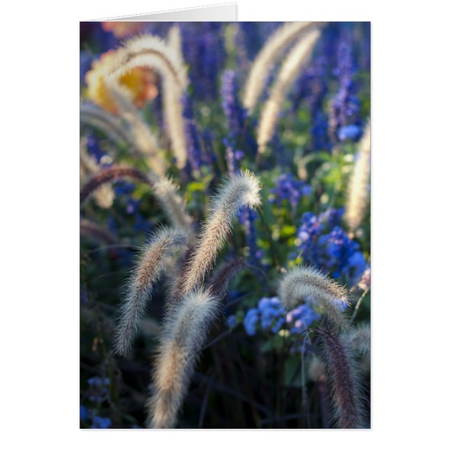 Wild Blume Card (Vorne)