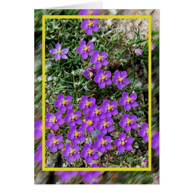 Wild Blume Card (Vorne)