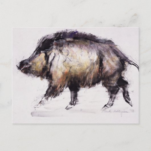 Wild Boar 1999 Postkarte (Vorderseite)