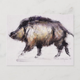 Wild Boar 1999 Postkarte