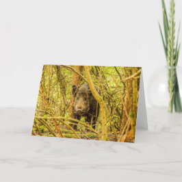 Wild Boar Karte