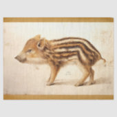 WILD BOAR PIGLET Antikes Zeichnend Tierparkett Seidenpapier (Vorderseite)