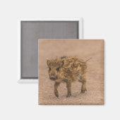 Wild Boar Piglet Magnet (Vorderseite/Rückseite)