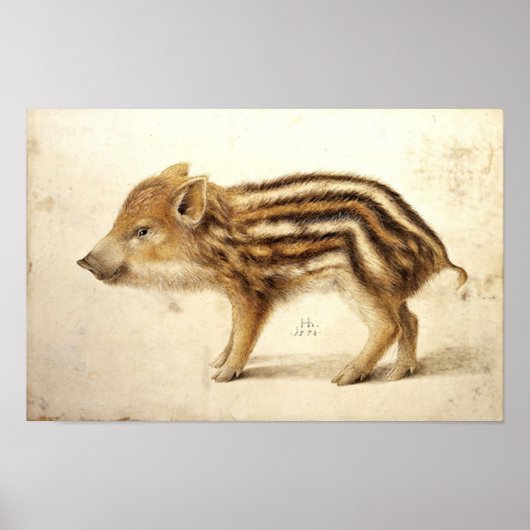 WILD BOAR PIGLET / Tierzeichnungen Poster (Vorne)