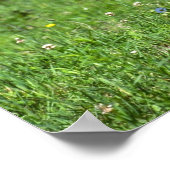 Wild Boar Poster (Ecke)