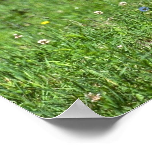 Wild Boar Poster (Ecke)