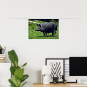 Wild Boar Poster (Heimbüro)