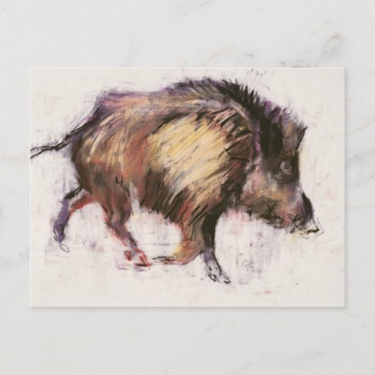 Wild Boar Trotting 1999 Postkarte (Vorderseite)