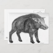 Wild Boar, Verteidigungsbereitschaft Postkarte (Vorne/Hinten)