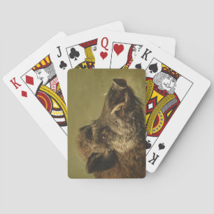 Wild Boars Kopf Spielkarten