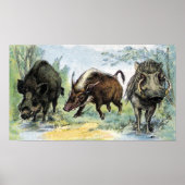 Wild Boars Poster (Vorne)