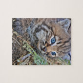 Wild Bobcat Kitten Puzzle (Horizontal)