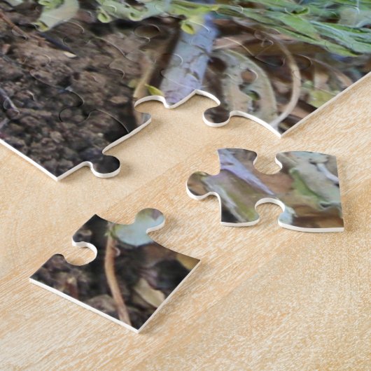 Wild Bobcat Kitten Puzzle (Seite)