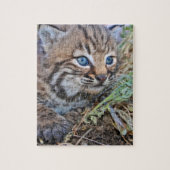 Wild Bobcat Kitten Puzzle (Vertikal)