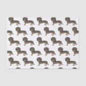Wild-braune Drahthaare Dackel Niedliches Hundemust Seidenpapier (Vorderseite)