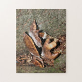 Wild-braune Pilze im Baumkreuz Natur Puzzle (Vertikal)