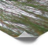 Wild-Braunente in Teichnatur Poster (Ecke)