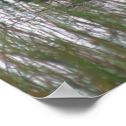 Wild-Braunente in Teichnatur Poster (Ecke)