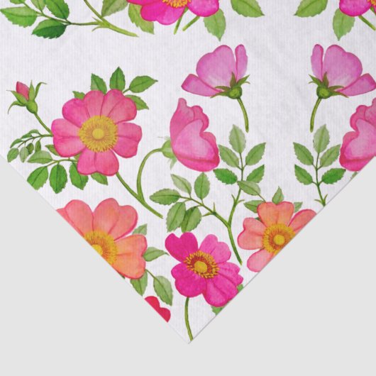 Wild-Briar-Rose Rosa Blumenzwirn Seidenpapier (Detail)