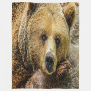 Wild Brown Bear Fleecedecke